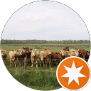 Profilbild von „Anna“